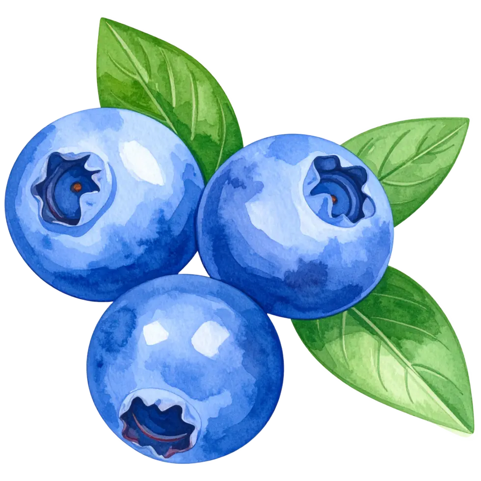 Blueberry